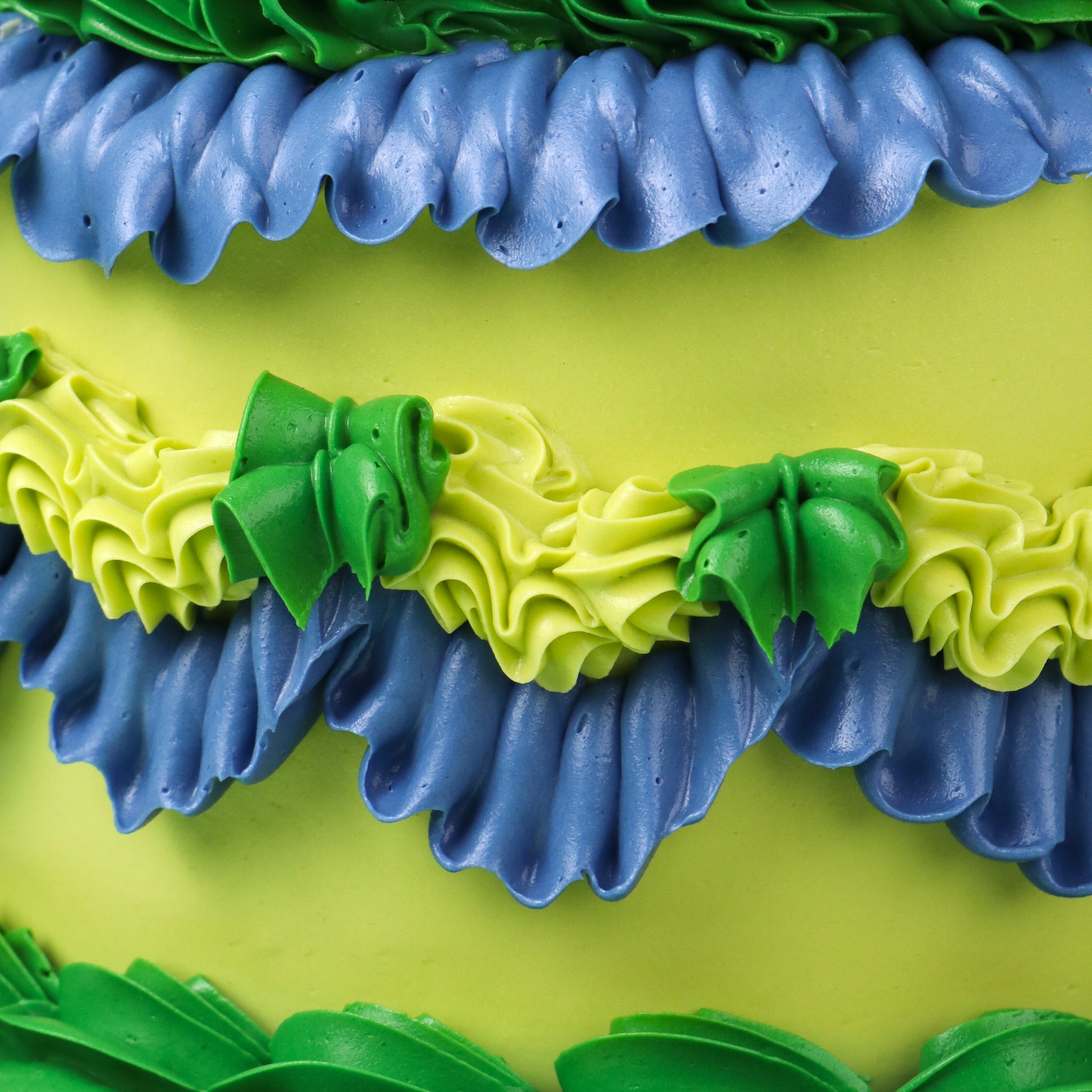 Trending Trio — Kiwi, Denim & Forest